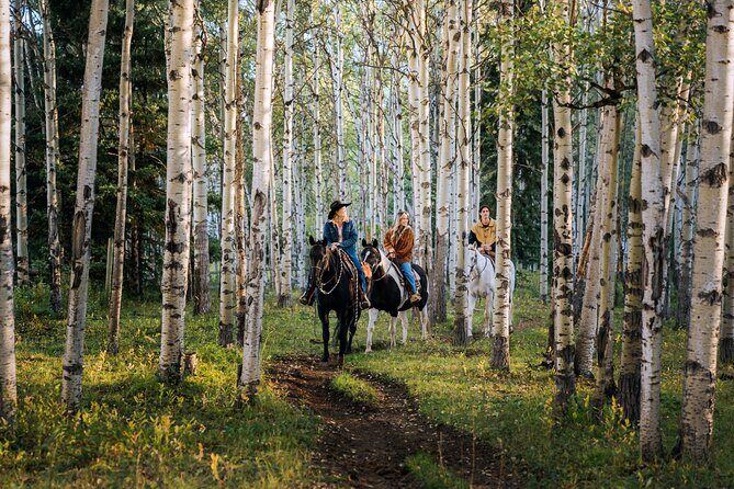 Valley Vista 1.5 Hour Horseback Trail Ride in Kananaskis - An In-Depth Look at the Valley Vista Horseback Ride