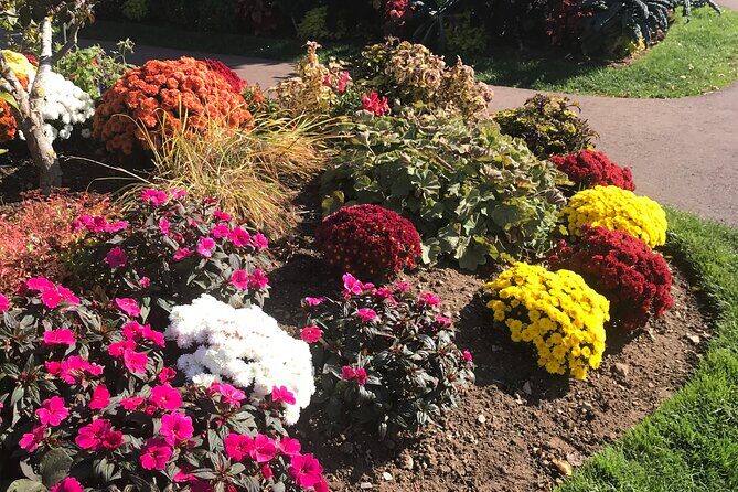 Valley Wine Tour. You will buy your own wine and meals. - A Detailed Look at the Valley Wine Tour