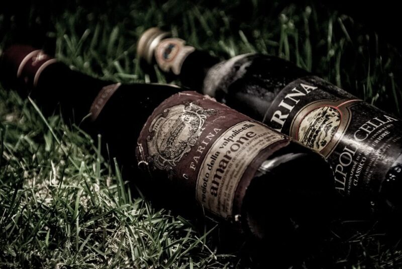 Valpolicella: 1.5-Hour Guided Winery Tour with Wine Tasting - Who Will Love This Tour?