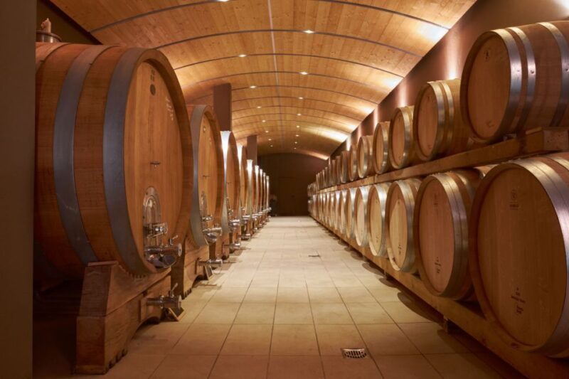 Valpolicella: Amarone Experience with Cantina Visit - Valpolicella: Amarone Experience with Cantina Visit