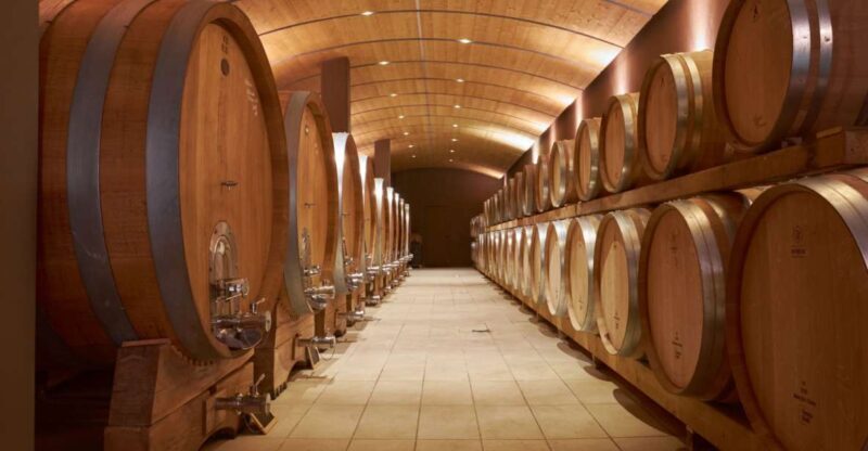 Valpolicella: Amarone Experience with Cantina Visit - The Setting and Atmosphere