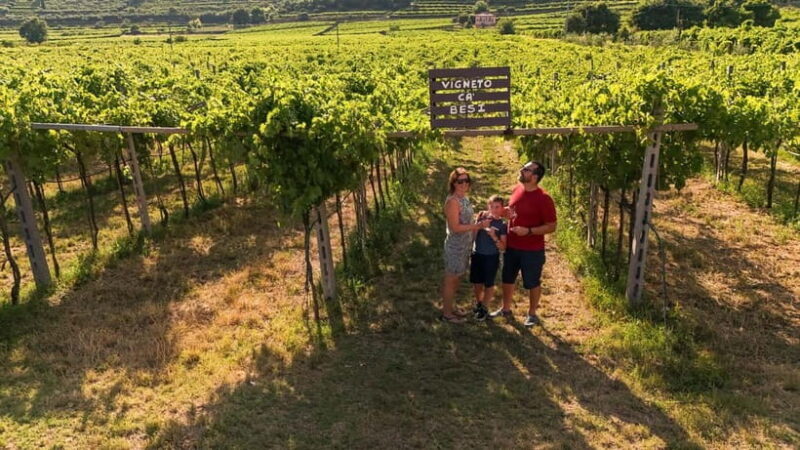 VALPOLICELLA: DISCOVER IT IN 5 GLASSES - Key Points