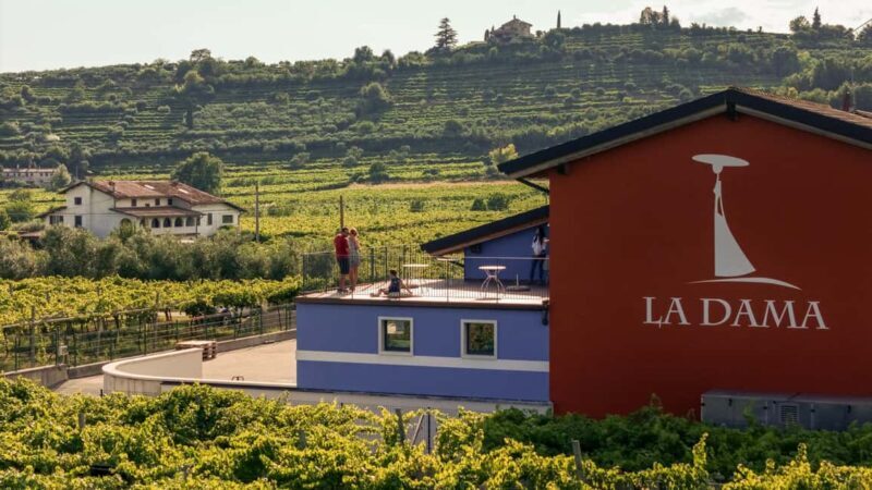 VALPOLICELLA: DISCOVER IT IN 5 GLASSES - How It Compares to Others