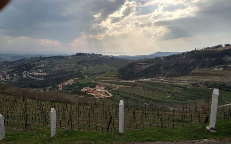 Valpolicella: Guided tour of the winery with tastings - Introduction