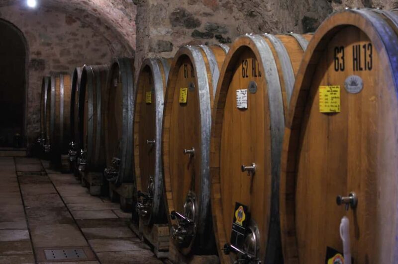 Valpolicella: Guided tour of the winery with tastings - Key Points
