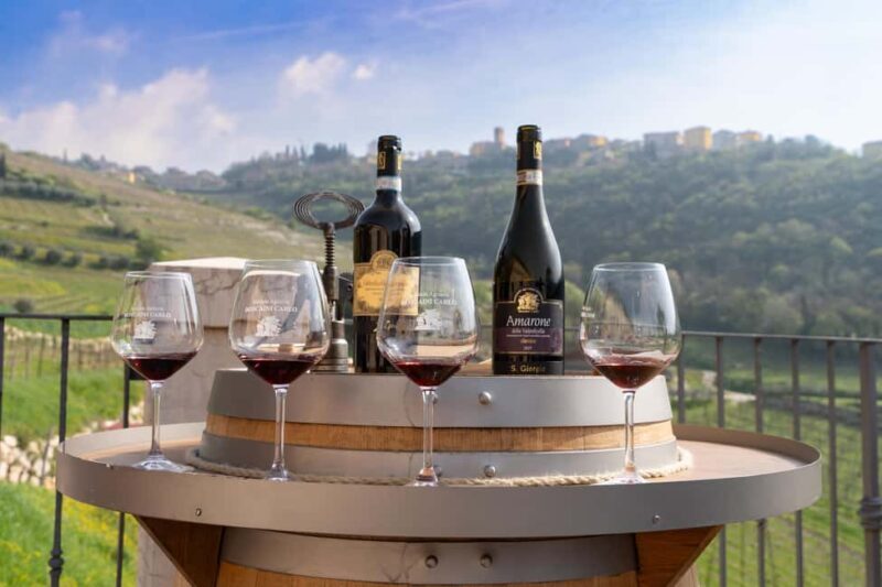 Valpolicella: Guided tour of the winery with tastings - What Makes This Tour Stand Out