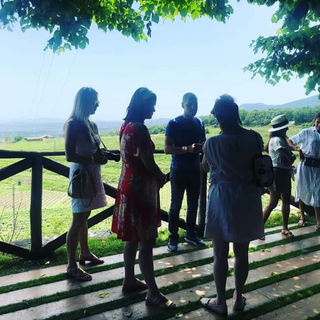 Valpolicella: Guided Wine Tour with Tastings of Local Wines - Key Points