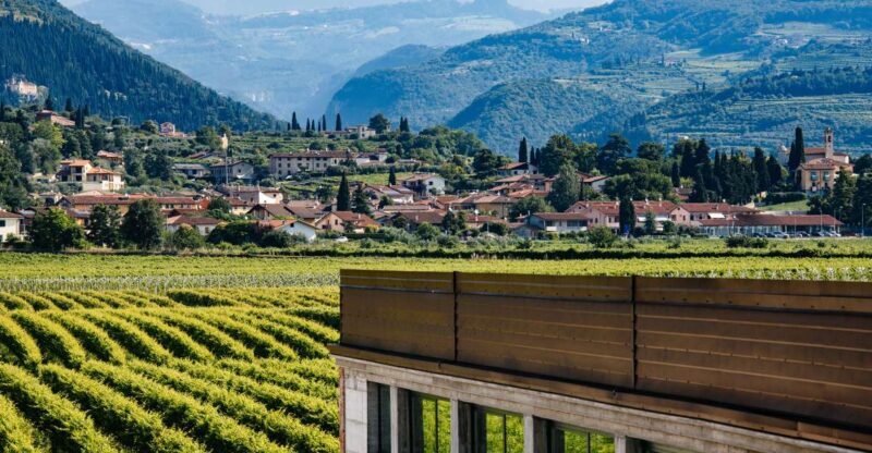 Valpolicella: Lunch or Dinner tasting with Amarone - A Closer Look at the Tour Experience