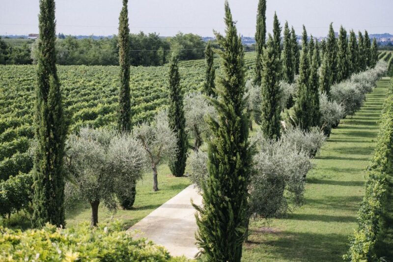 Valpolicella: Lunch or Dinner tasting with Amarone - FAQ