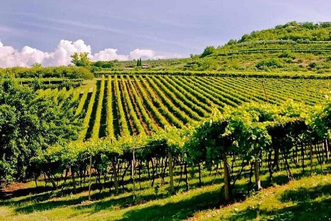 Valpolicella - The wine paradise - Key Points