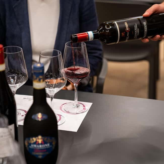 Valpolicella Wine Museum: E-bike rental with App and Tasting - Key Points