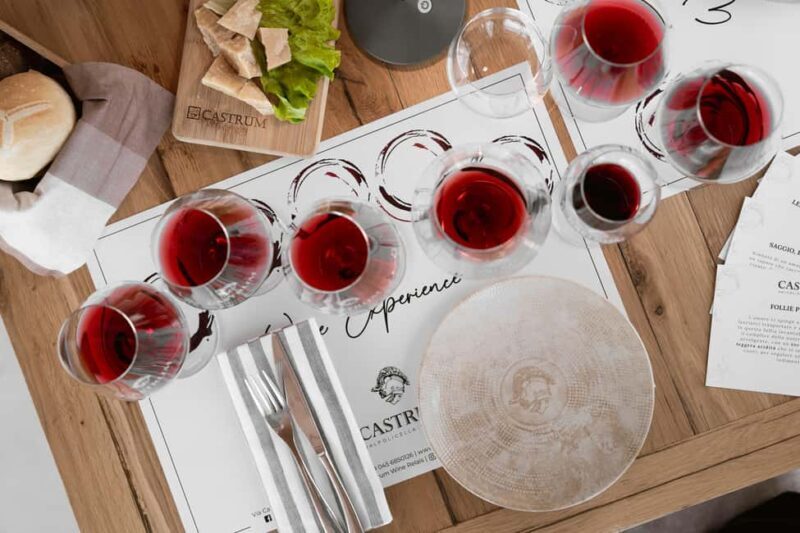 Valpolicella - Wine Tasting and Charcuterie Boards with a Panoramic View - Introduction