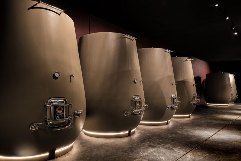 Valpolicella: Wine Tasting With A Sommelier and Light Lunch - What to Expect from the Tour