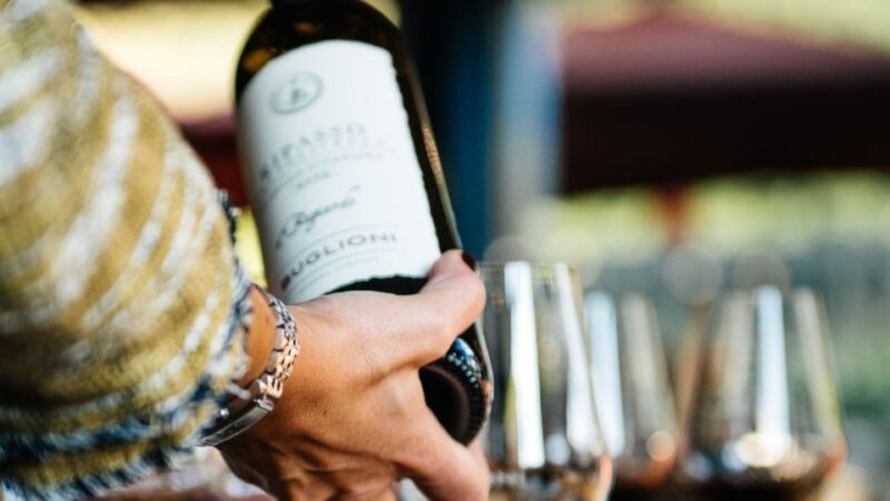 Valpolicella: Winery Tour with Red Wine&Cicchetti tasting - Key Points