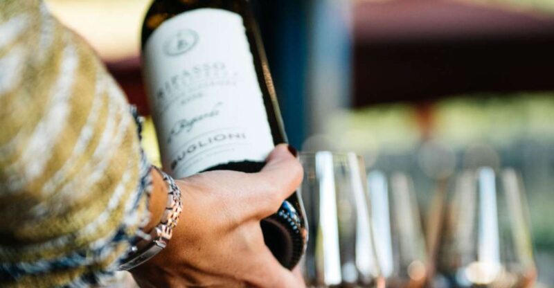 Valpolicella: Winery Tour with Red Wine&Cicchetti tasting - A Closer Look at the Experience