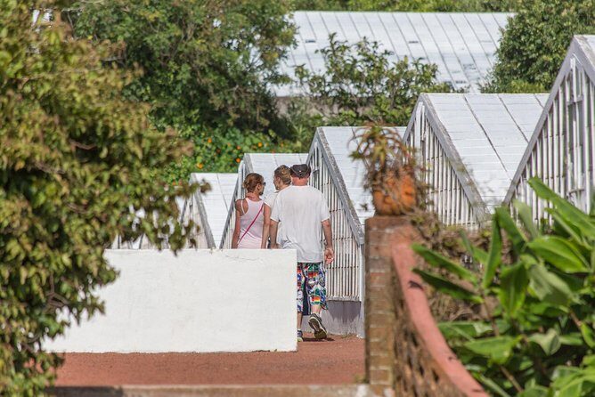 Van Tour Sete Cidades + Lagoa do Fogo Full-Day - Exploring Caldeira Velha