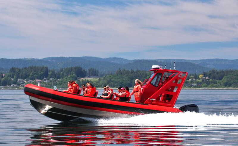 Vancouver, BC: Whale Watching Tour Small Zodiac with Guide - FAQs