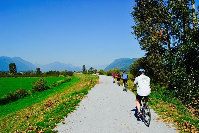 Vancouver Biking and Hiking Tour including Lunch - What Travelers Love (And What They Say)