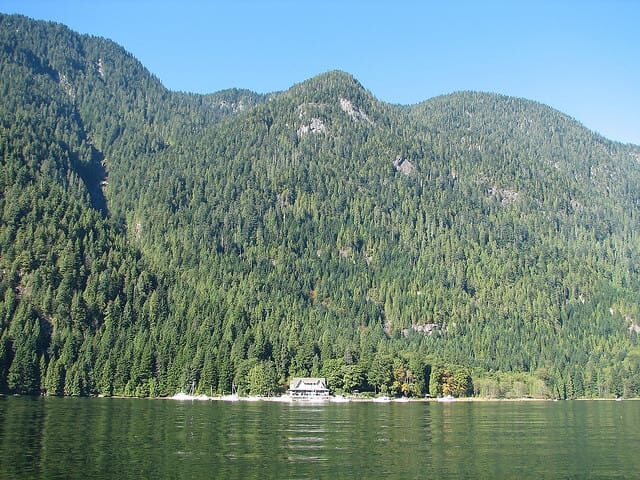 Vancouver Brunch Cruise - Final Thoughts