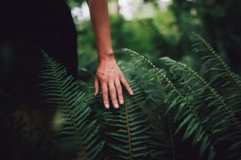 Vancouver: Capilano River Hatchery Love the Land Tour - Key Points