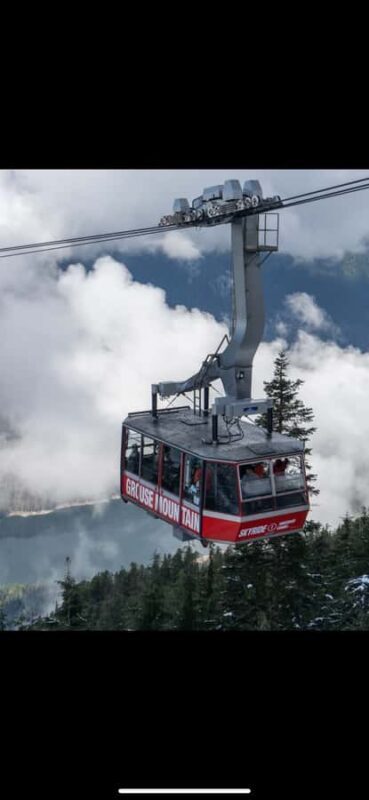 Vancouver: Capilano Suspension Bridge & Grouse Mountain - Practical Details and Value