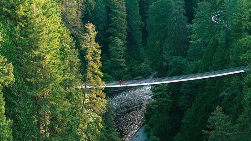 Vancouver: Capilano Suspension Bridge Park Ticket - The Experience in Detail