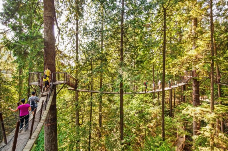 Vancouver: Capilano Suspension Bridge Park Ticket - Who Is This Tour Best For?