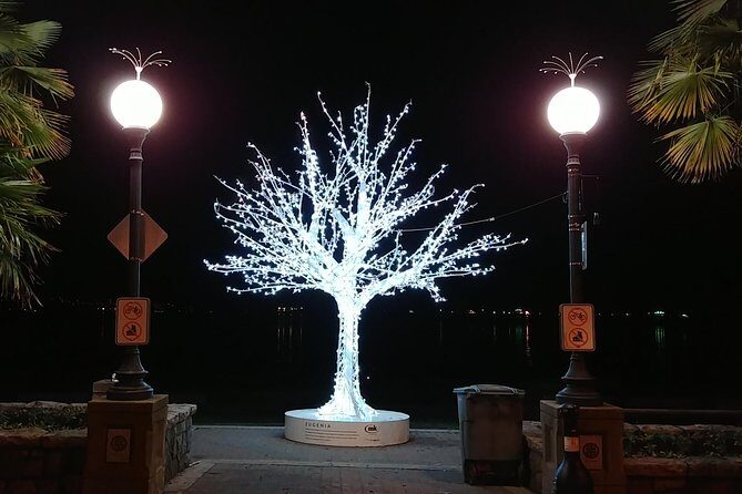 Vancouver Christmas Festival of Lights - Is This Tour Worth It?