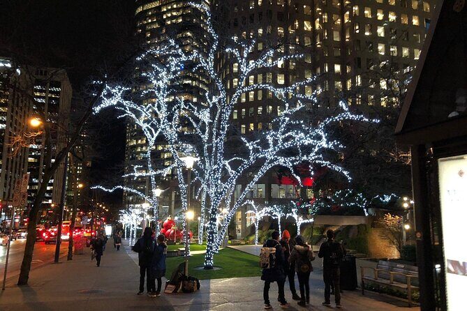 Vancouver Christmas Light Tour private - FAQ: Everything You Need to Know