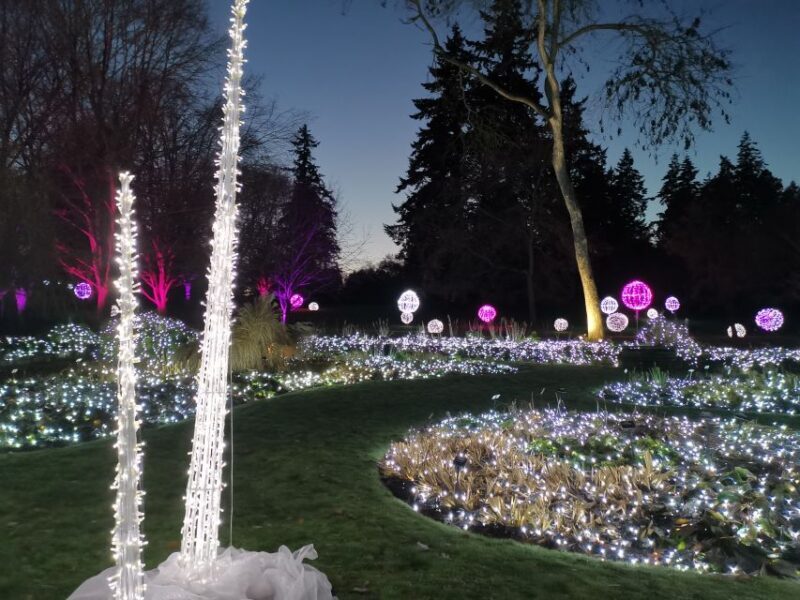 Vancouver: Christmas Tour with Light Festival Entrance - Is It Worth It?