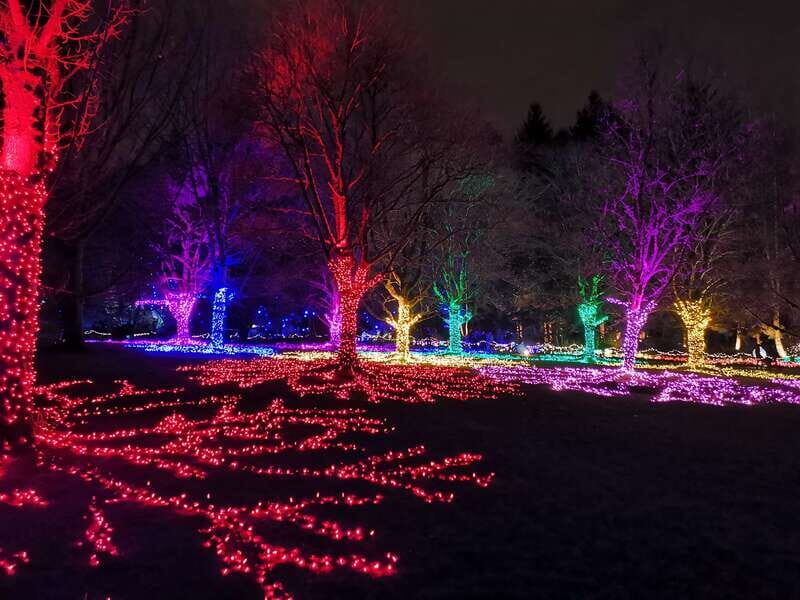 Vancouver: Christmas Tour with Light Festival Entrance - Who Should Consider This?