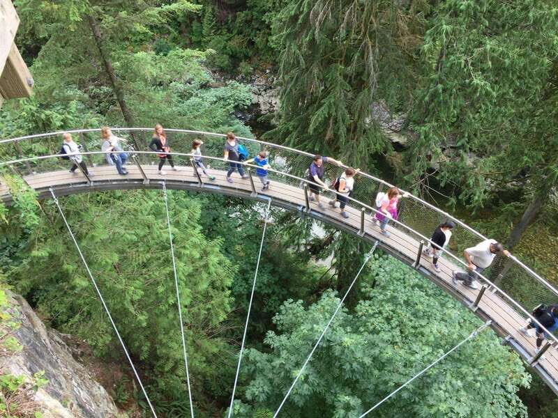 Vancouver: City and Mountain Adventure with Grouse Mountain - Exploring Vancouver: What You Can Expect