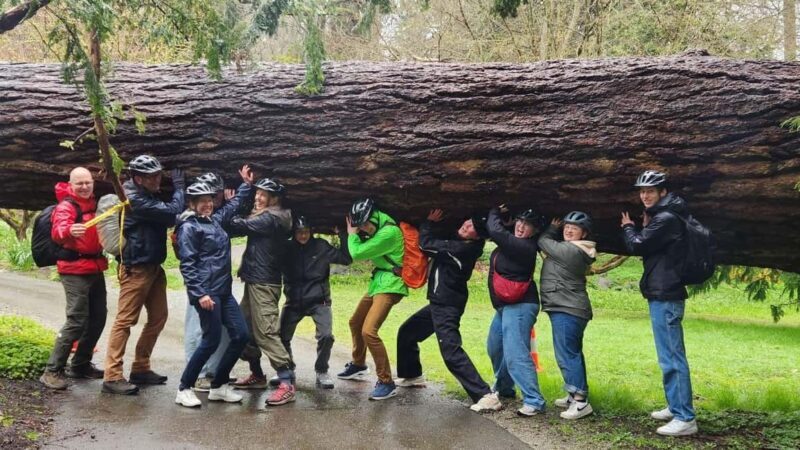 Vancouver: City Bike Tour | E-Bike Upgrade Avail. | 4-Hours - Why You Might Love This Vancouver Bike Tour