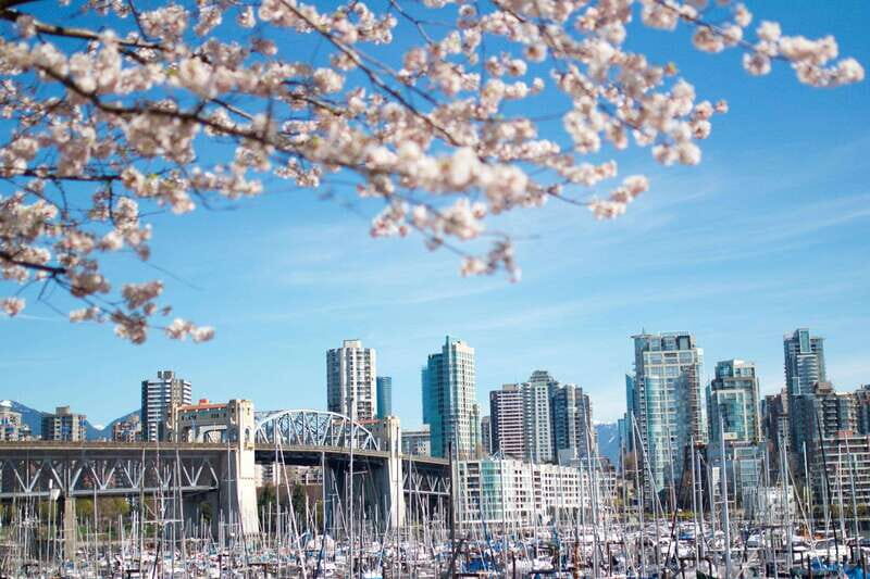 Vancouver: City & Granville Island Sightseeing Trolley Tour - The Value for Your Money