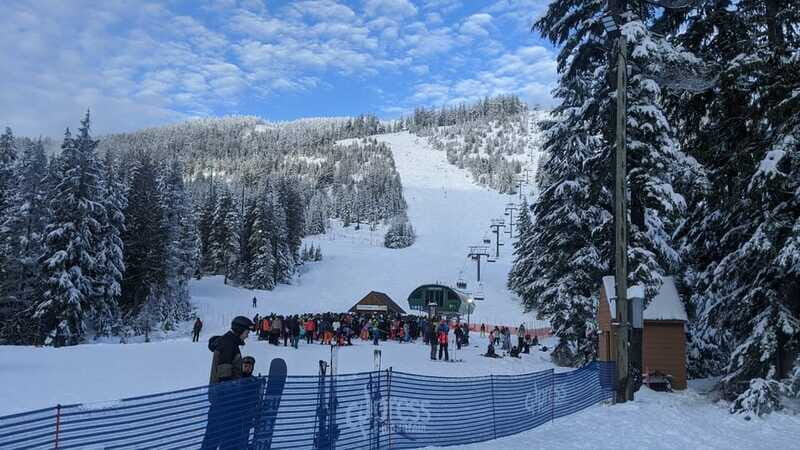 Vancouver city tour & Adventure at Cypress Mountain Private - Who Should Consider This Tour?