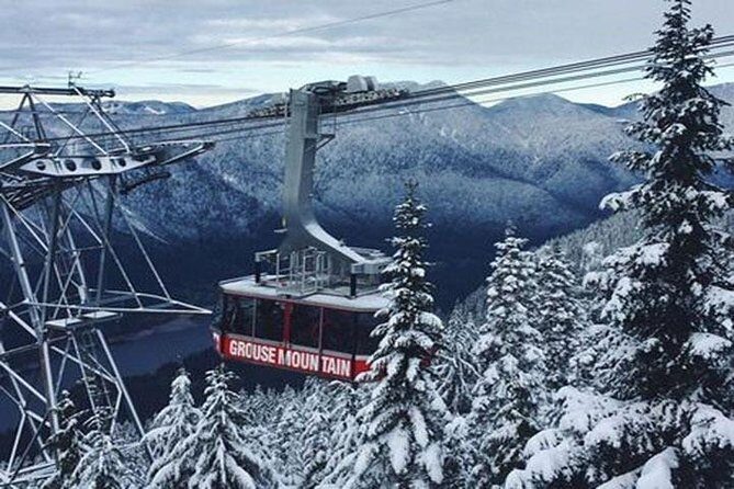 Vancouver City Tour With Stanley, Grouse Mountain & Capillano Suspension Private - What Makes This Tour Stand Out?