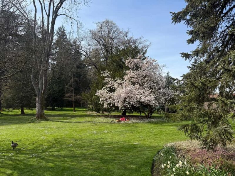 Vancouver City Tour+VipCar+Stanley Park+ChinaTown/SmallGroup - The Value for Money