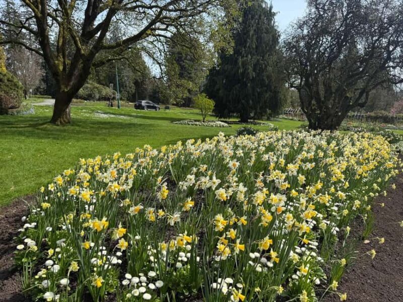 Vancouver City Tour+VipCar+Stanley Park+ChinaTown/SmallGroup - FAQs