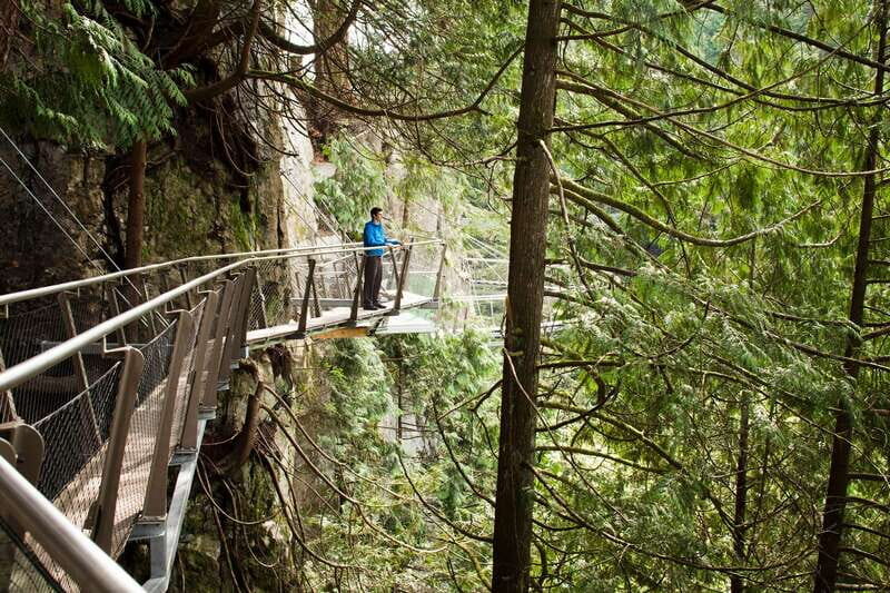 Vancouver: City+Lookout+Capilano Suspension Bridge Ticket - Final Thoughts