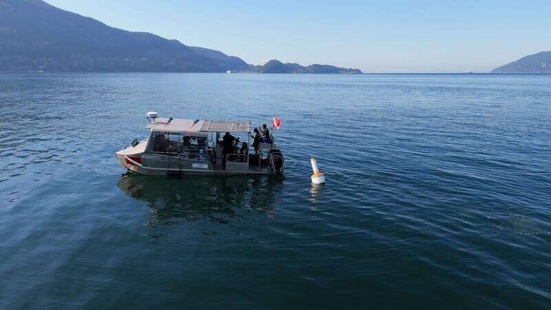 Vancouver: Discover the Best SCUBAdiving Sites by Boat - Is It Worth the Price?