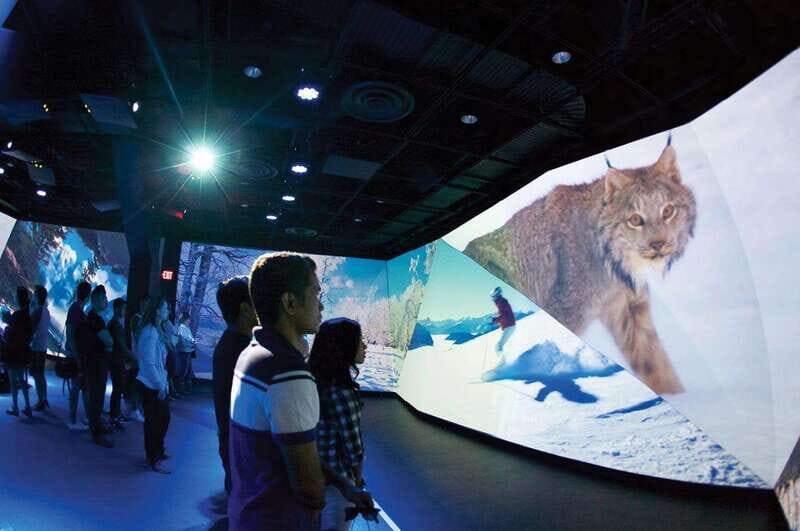 Vancouver: Flyover Experience Ticket - Accessibility and Practical Details