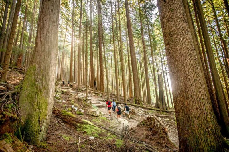 Vancouver: Guided Hiking Highlights at Grouse & Lynn Canyon - Crossing Lions Gate Bridge