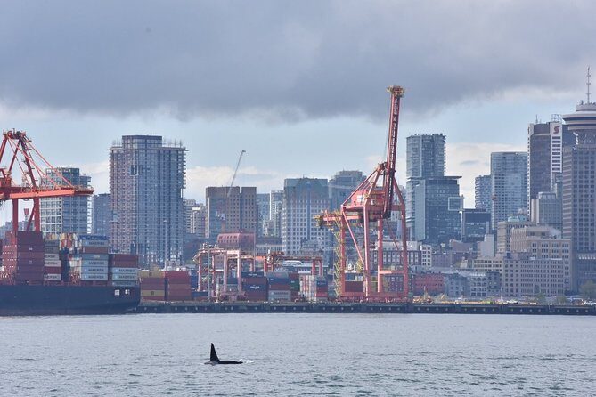 Vancouver Half-Day Whale Watching Adventure with Free Photos - FAQs