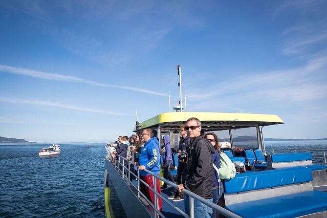 Vancouver Half-Day Whale Watching Adventure with Free Photos - Final Thoughts