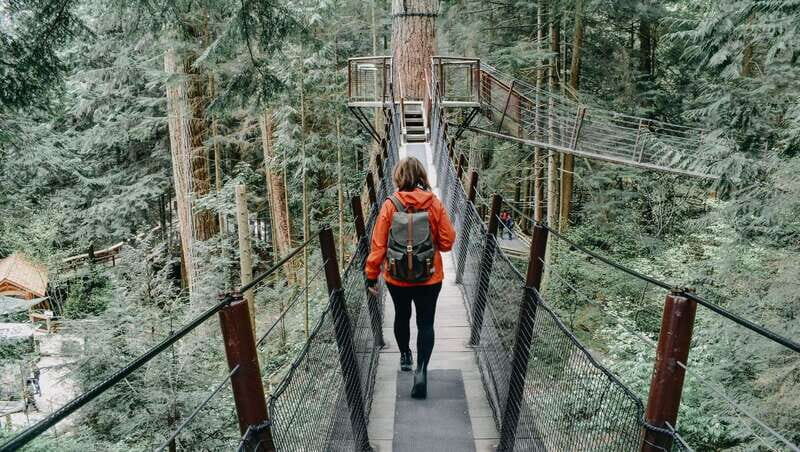 Vancouver: Highlights & Hidden Gems Private Tour - Discovering Lesser-Known Hotspots