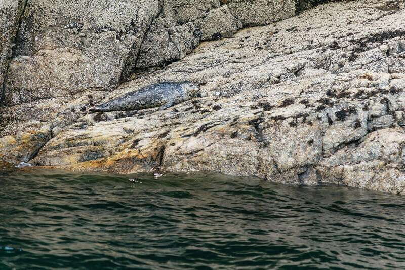 Vancouver: Indian Arm and Granite Falls Zodiac Boat Tour - Key Points