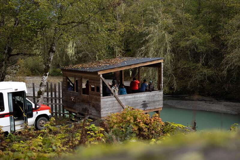Vancouver Island: Full-Day Grizzly Bear Tour at Toba Inlet - Authentic Voices from Travelers