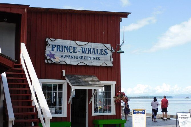 Vancouver Island Half-Day Whale Watching Tour - Telegraph Cove - Frequently Asked Questions