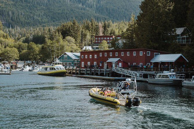 Vancouver Island Zodiac Whale Watching Adventure - Telegraph Cove - An Introduction to the Zodiac Whale Watching Experience