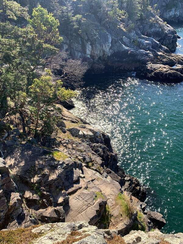 Vancouver: Lighthouse Park Hike - Exploring Lighthouse Park: What You Can Expect